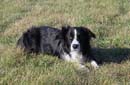 IMG_0225 kopie